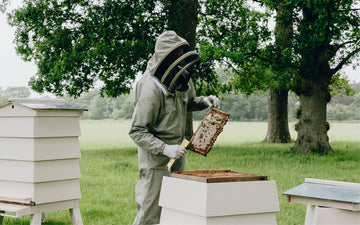 Natural Skincare Made by <em><strong>Beekeepers</strong></em>