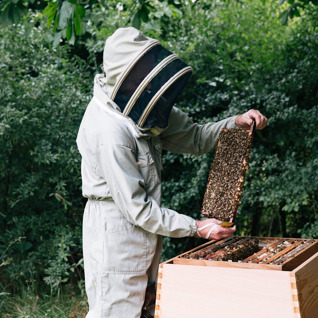 Bee Cosmetics